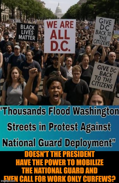 Funny | Doesn't the president have the power to mobilize the national guard and even call for work only curfews? | image tagged in funny,politics,national security,president trump,us government,secure the border | made w/ Imgflip meme maker