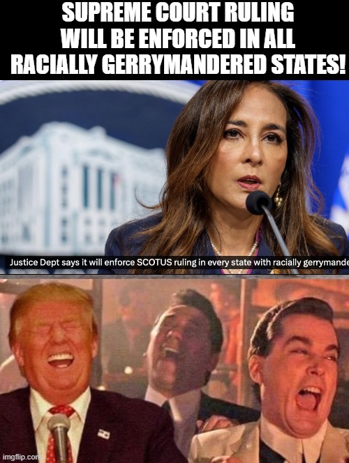Racist gerrymandering is illegal! All states racially gerrymandered will require lines redrawn! | Supreme Court ruling will be enforced in all racially Gerrymandered states! | image tagged in that's racist | made w/ Imgflip meme maker