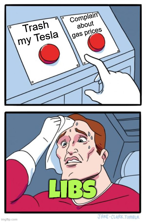 Two Buttons Meme | Trash my Tesla Complain about gas prices libs | image tagged in memes,two buttons | made w/ Imgflip meme maker