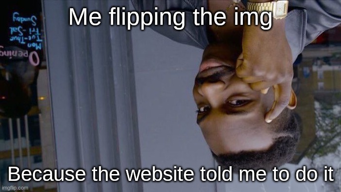 big brain | Me flipping the img; Because the website told me to do it | image tagged in memes,roll safe think about it,imgflip | made w/ Imgflip meme maker