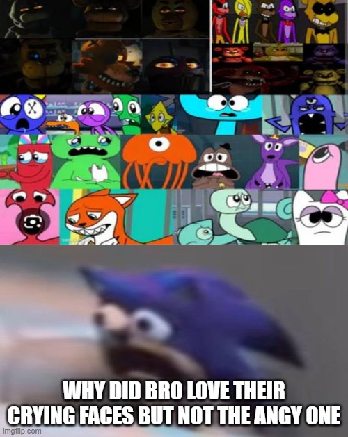 UNFORGIVABLE PART 2 | Why did bro love their crying faces but not the angy one | image tagged in ruin this fill in meme 300 | made w/ Imgflip meme maker