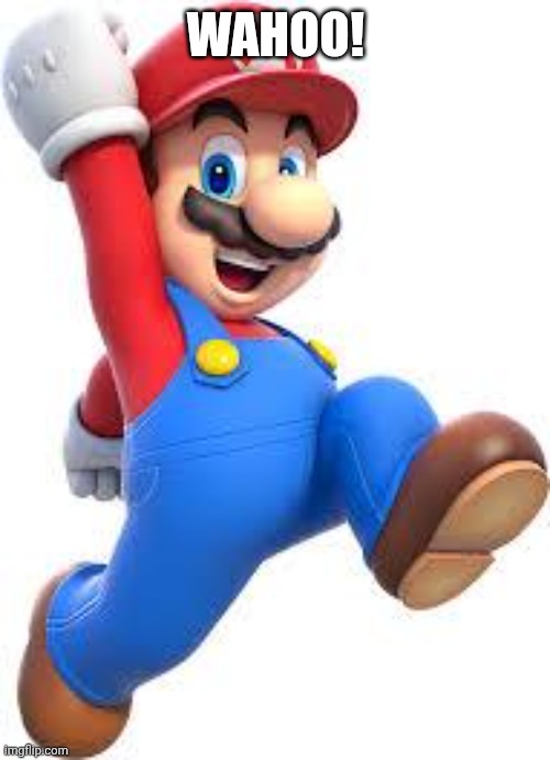 Wahoo! | image tagged in mario | made w/ Imgflip meme maker