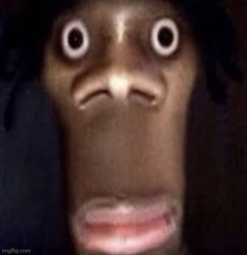 plot twist me changing my username didn't crash it and someone used low orbit ion cannon | image tagged in quandale dingle | made w/ Imgflip meme maker