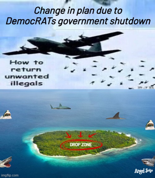 New deportation plan due to DemocRATS government shutdown | Change in plan due to DemocRATs government shutdown; drop zone; Angel Soto | image tagged in how to return illegals jpg,illegal immigrants,deportation,democrats,sharks,survival island | made w/ Imgflip meme maker