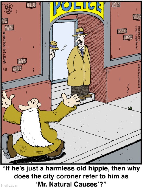 Rubes | image tagged in comics,rubes,police,hippie,r crumb,mr natural | made w/ Imgflip meme maker