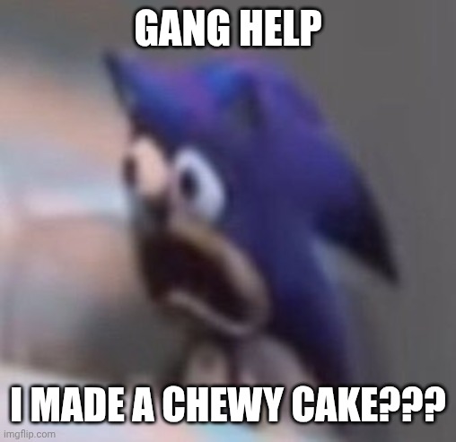 IDK BRO IT JUST CAME OUT LIKE FRUIT LEATHER AND MOCHI | Gang help; I made a chewy cake??? | image tagged in traumatised sonic | made w/ Imgflip meme maker