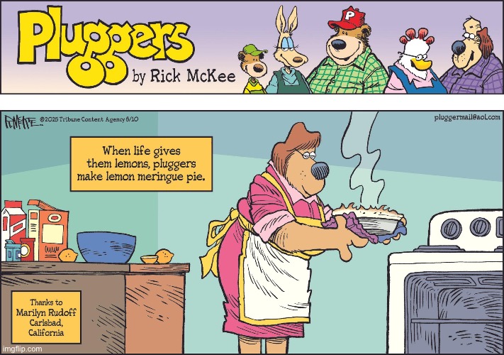 Pluggers | image tagged in comics,pluggers,life,lemons,pie,adapt | made w/ Imgflip meme maker