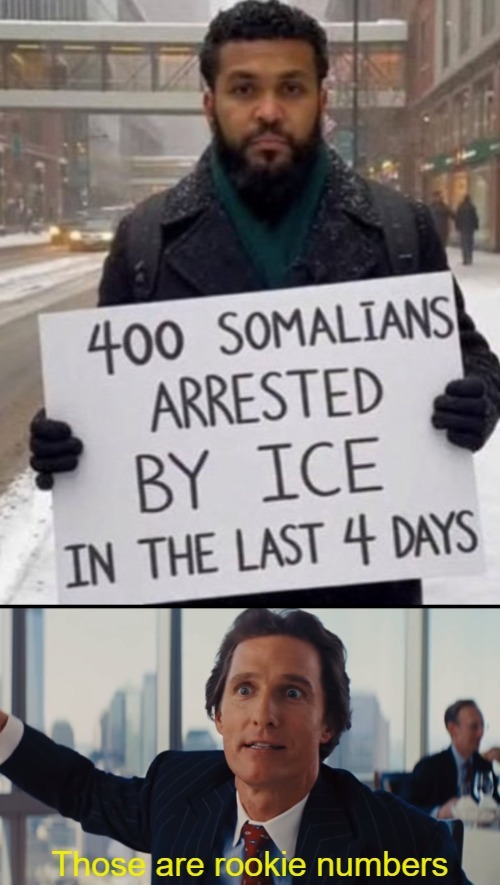Waaay more fraud than that | image tagged in those are rookie numbers,politics,immigrants,fraud | made w/ Imgflip meme maker