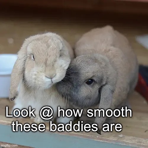 Look @ how smooth these baddies are | image tagged in bunnies | made w/ Imgflip meme maker