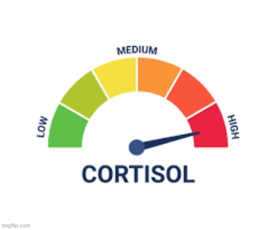 High Cortisol | image tagged in high cortisol | made w/ Imgflip meme maker