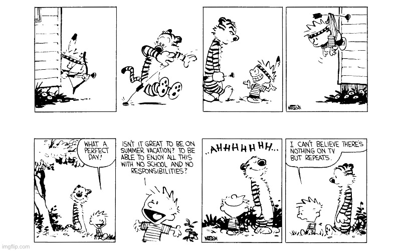 image tagged in calvin and hobbes,comics | made w/ Imgflip meme maker