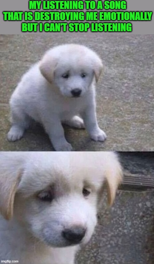 song | my listening to a song that is destroying me emotionally but I can't stop listening | image tagged in memes | made w/ Imgflip meme maker