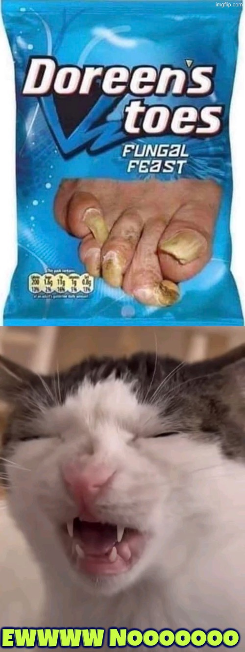 Ewwww Nooooooo | Ewwww Nooooooo | image tagged in cursed images,nooooooooo,feet,ewwww,cats,drink bleach | made w/ Imgflip meme maker