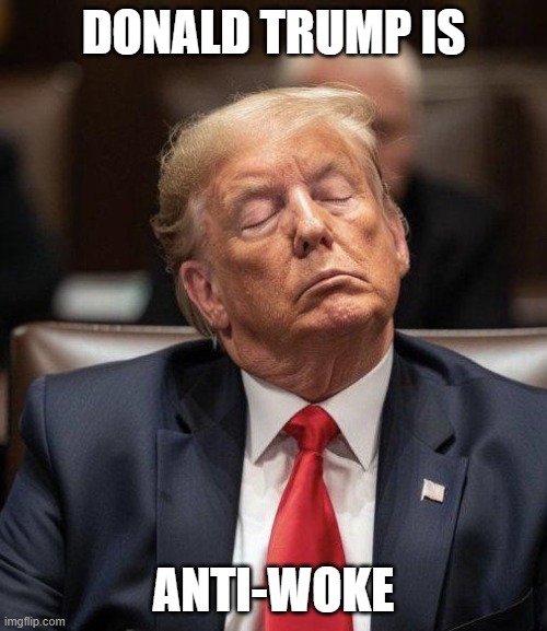 Sleepy Don | Donald Trump is; anti-woke | image tagged in trump sleeping,woke,president trump,sleepy don | made w/ Imgflip meme maker