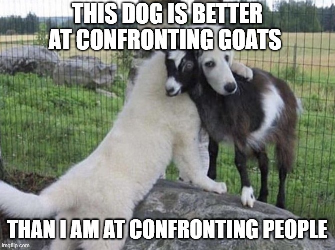 confronting | this dog is better at confronting goats; than I am at confronting people | image tagged in memes | made w/ Imgflip meme maker