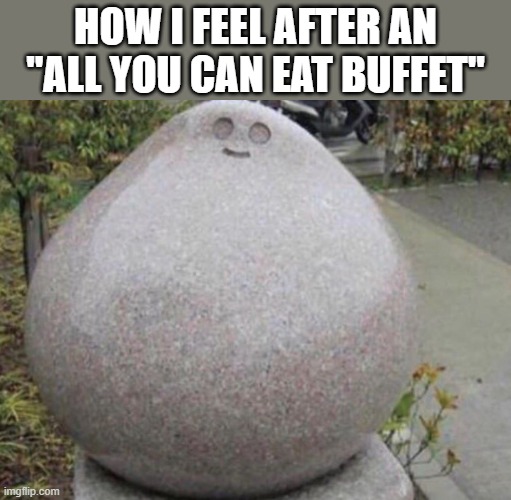 buffet | how i feel after an "all you can eat buffet" | image tagged in memes | made w/ Imgflip meme maker