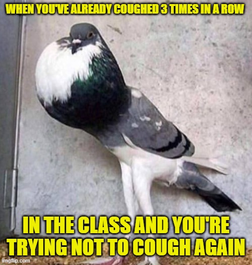 cough | when you've already coughed 3 times in a row; in the class and you're trying not to cough again | image tagged in memes | made w/ Imgflip meme maker