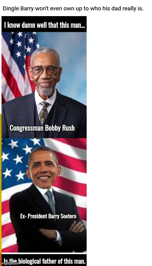 Dingle Barry won't even own up to who his dad really is. | image tagged in blank white template,memes,drake hotline bling | made w/ Imgflip meme maker