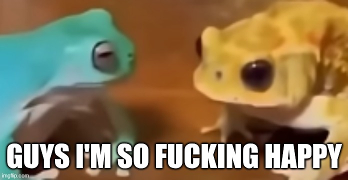 the fuck did you just say | guys I'm so fucking happy | image tagged in the fuck did you just say | made w/ Imgflip meme maker