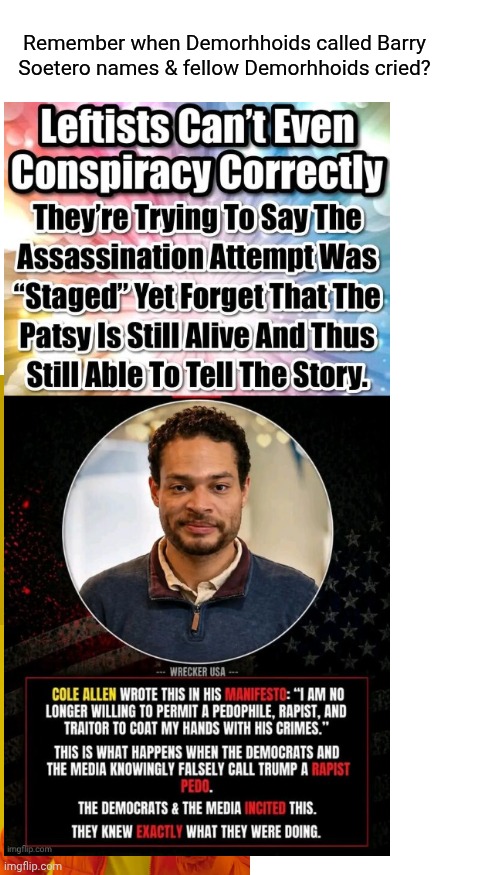 Remember when Demorhhoids called Barry Soetero names & fellow Demorhhoids cried? | image tagged in blank white template,memes,drake hotline bling | made w/ Imgflip meme maker