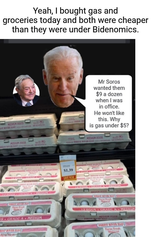 Yeah, I bought gas and groceries today and both were cheaper than they were under Bidenomics. | image tagged in blank white template,memes,drake hotline bling | made w/ Imgflip meme maker