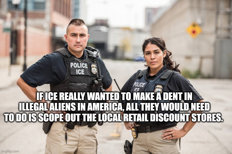ICE Agents | If ice really wanted to make a dent in illegal aliens in America, all they would need to do is scope out the local retail discount stores. | image tagged in ice agents | made w/ Imgflip meme maker