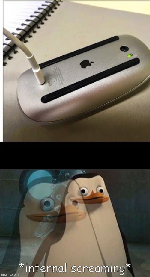 Ahhhhhhhhhh | image tagged in private internal screaming,design fail,duhhh dumbass | made w/ Imgflip meme maker