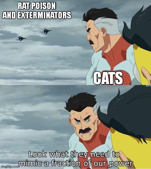 2 days until 1 year birthday of my account | rat poison and exterminators; cats | image tagged in look what they need to mimic a fraction of our power | made w/ Imgflip meme maker