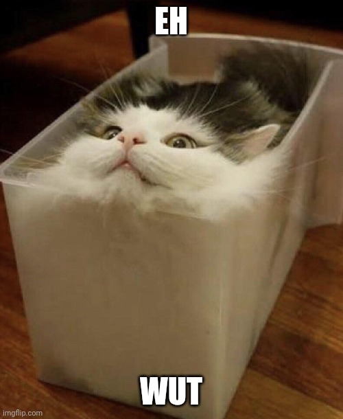 0466mqwiijx41.jpg | Eh; Wut | image tagged in 0466mqwiijx41 jpg | made w/ Imgflip meme maker