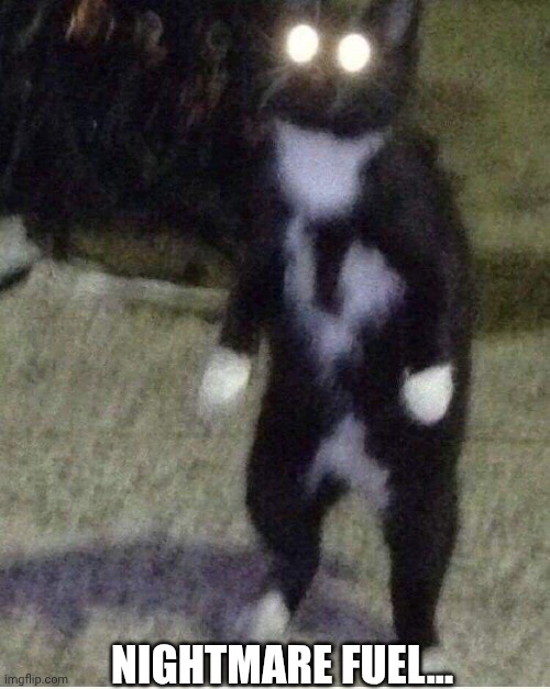 Nightmare fuel... | made w/ Imgflip meme maker