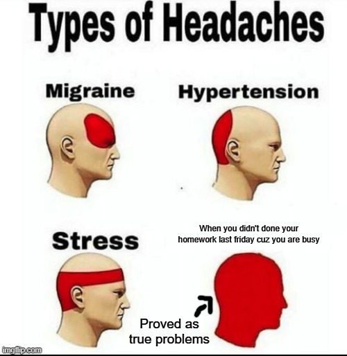 Nobody Likes School, like? | When you didn't done your homework last friday cuz you are busy; Proved as true problems | image tagged in types of headaches meme | made w/ Imgflip meme maker