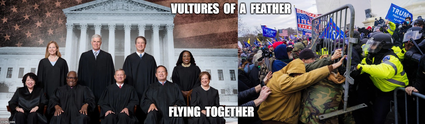 Get the Flock Out of Here | vultures  of  a  feather; flying  together | image tagged in stop reading the tags | made w/ Imgflip meme maker