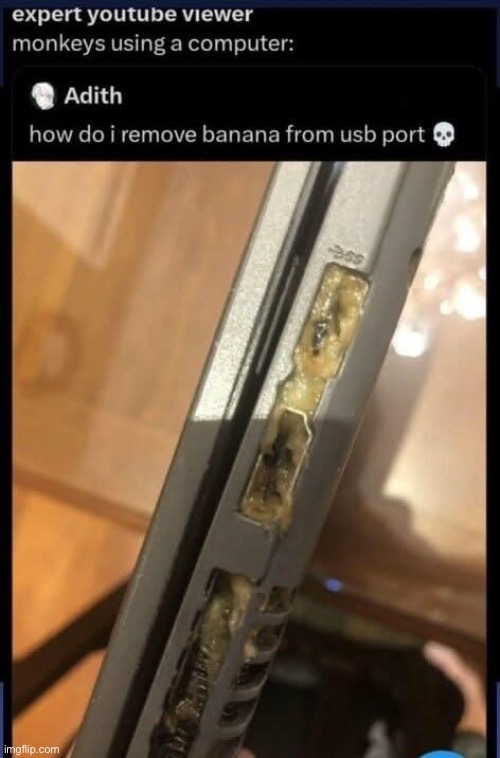 Banana | image tagged in banana,laptop,usb | made w/ Imgflip meme maker