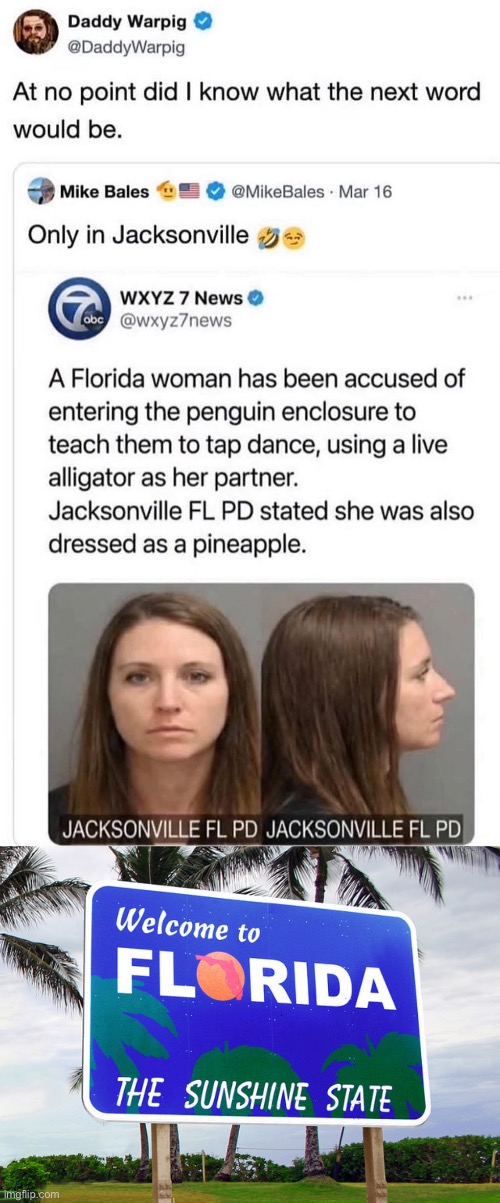 She’s the One | image tagged in florida,penguin,dance,alligator | made w/ Imgflip meme maker