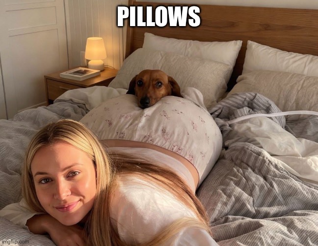 Pillows | Pillows | image tagged in dog,butt,pillow,comfort | made w/ Imgflip meme maker