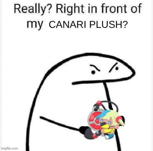 Canari Plush? | image tagged in really right in front of my | made w/ Imgflip meme maker
