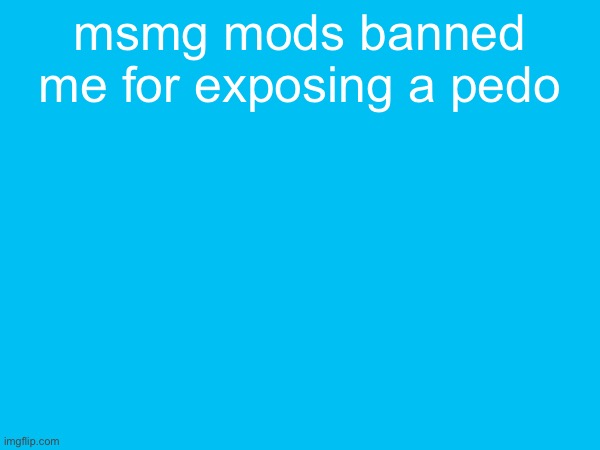 fucking snowflakes, i bet it was either andrew or manticore | msmg mods banned me for exposing a pedo | made w/ Imgflip meme maker
