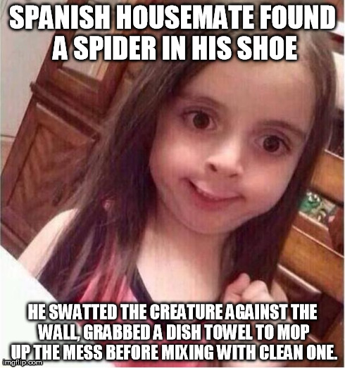 It is ok, he said. They have proteins, he said. | SPANISH HOUSEMATE FOUND A SPIDER IN HIS SHOE HE SWATTED THE CREATURE AGAINST THE WALL, GRABBED A DISH TOWEL TO MOP UP THE MESS BEFORE MIXING | image tagged in never mind girl,disgusting,awkward moment | made w/ Imgflip meme maker
