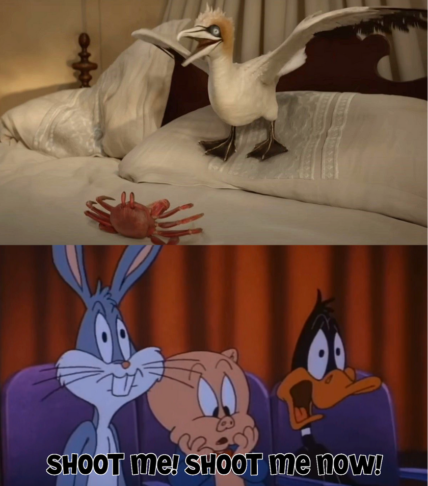 Who reacts to the Birdrap ? Blank Meme Template
