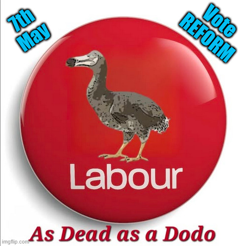 Local Elections - 7th May | 7th May; Vote REFORM; Vote Reform; Get LABOUR Out; #Immigration #Starmerout #Labour #KeirStarmer #labourisdead #nevervotelabour #Antisemitism #Savile #Paedo #Worboys #GroomingGangs #Paedophile #IllegalImmigration #Immigrants #Invasion #StarmerResign #strikes #DigitalID #ID Starmerout Labour Starmer Mandelson Rayner Blair KeirStarmer labourisdead Illegal Immigration Immigrants Invasion StarmerResign Island of strangers Lucy Connolly Two-Tier Justice Andy Burnham Hadush Kebatu Iran war Reeves Labour Budget #Mandleson; . . . Labour is never the answer; Shame on you if you're one of the 'misguided dreamers' who voted Starmer / Labour into power; Remember !!! - Voting Labour is 'NEVER' the answer | image tagged in starmer,labour,reform,liar lies,local elections | made w/ Imgflip meme maker