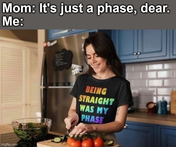 Phase IV: Til You Can't Scream No More | Mom: It's just a phase, dear.
Me: | image tagged in lgbtq | made w/ Imgflip meme maker