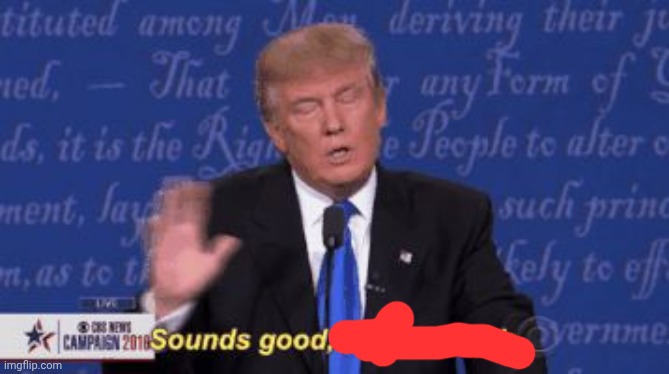 trump sounds good doesnt work | image tagged in trump sounds good doesnt work | made w/ Imgflip meme maker
