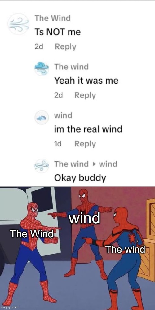 which one was it then? | wind; The Wind; The wind | image tagged in 3 spiderman pointing,wind,marvel,funny,funny memes,spiderman | made w/ Imgflip meme maker