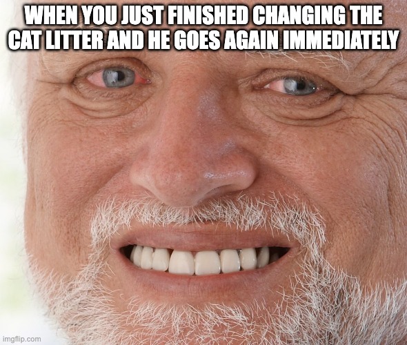 Hide the pain | When you JUST finished changing the cat litter and he goes again immediately | image tagged in hide the pain harold,cats,oh wow are you actually reading these tags | made w/ Imgflip meme maker