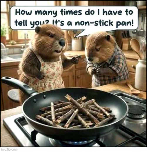 Take Care Of Your Equipment ! | image tagged in beavers,cooking,sticks | made w/ Imgflip meme maker