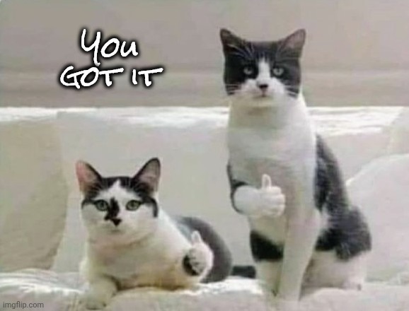 Thumbs up Cats | You got it | image tagged in thumbs up cats | made w/ Imgflip meme maker