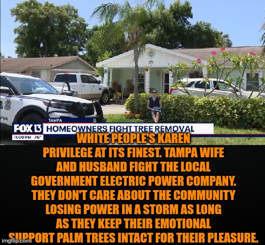 Funny | White People's Karen privilege at its finest. Tampa wife and husband fight the local government electric power company. They don't care about the community losing power in a storm as long as they keep their emotional support palm trees intact for their pleasure. | image tagged in funny,politics,us government,mega karen,white privilege,emotional damage | made w/ Imgflip meme maker