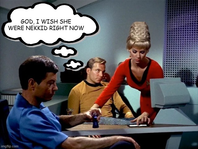Naked Yoeman | God, I wish she were nekkid right now | image tagged in william shatner | made w/ Imgflip meme maker