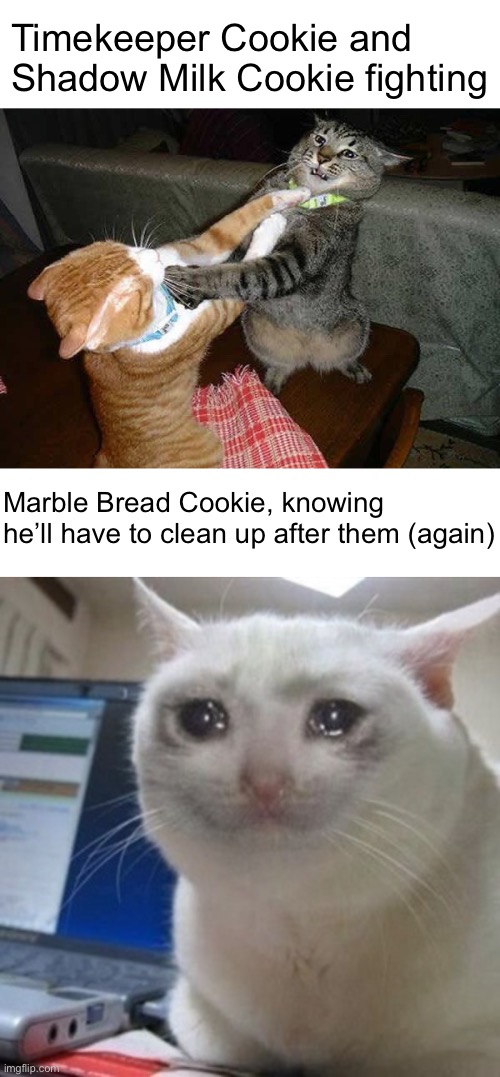 Basically the new update | Timekeeper Cookie and Shadow Milk Cookie fighting; Marble Bread Cookie, knowing he’ll have to clean up after them (again) | image tagged in two cats fighting for real,crying cat,cookie run kingdom,cookie run | made w/ Imgflip meme maker