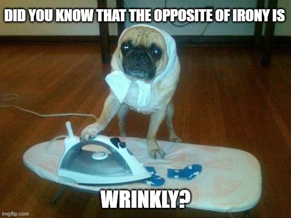 Wrinkles | Did you know that the opposite of Irony is; wrinkly? | image tagged in i have no idea what im doing - ironing | made w/ Imgflip meme maker